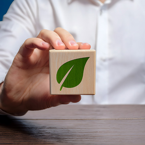 MN Noleggi Group - Noleggio Furgoni e Auto Messina